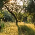 Villa Monodendri Blue