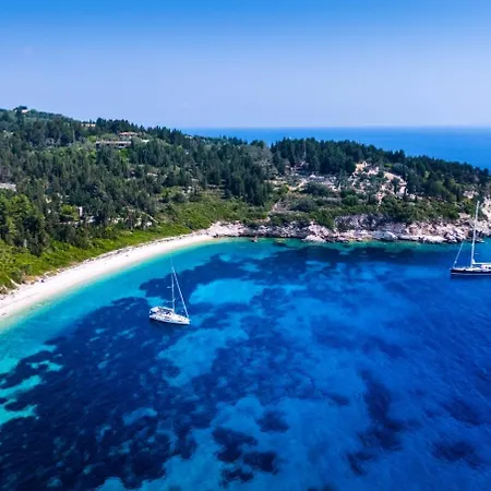 Monodendri Blue *
