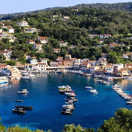 Monodendri Blue