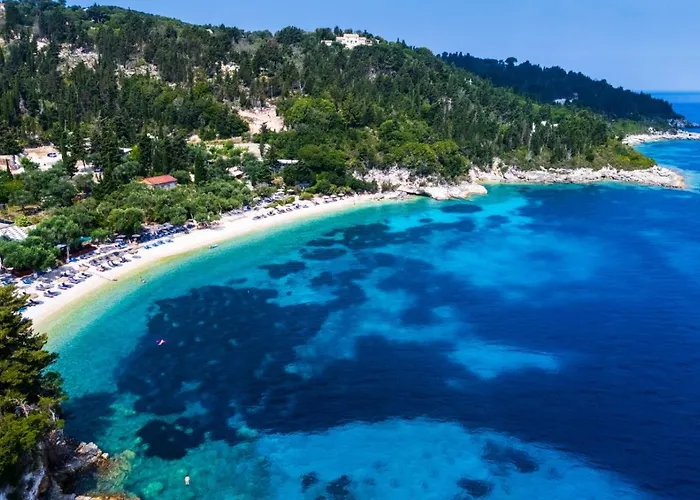 Monodendri Blue * Georgoutsatika